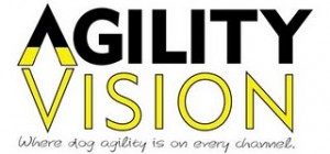 agilityvision